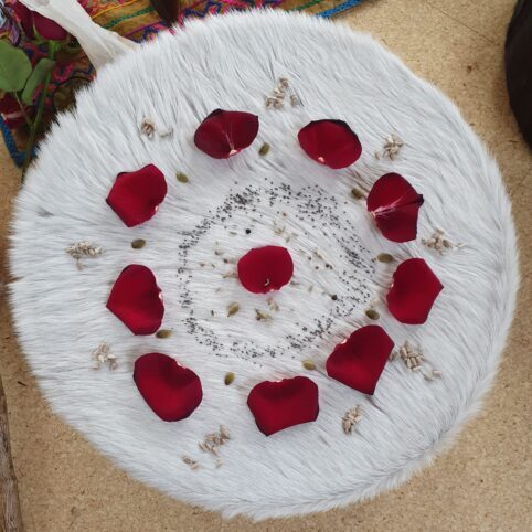 Medium sized shaman drum made of white horse skin and used to support healing through shamanic work, covered with red rose petals in a circle, representing a sense of belonging, of connection.