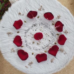 A medium sized shaman drum laying on the floor, made of the skin of a white horse. On top of the drum is a circle of red rose petals together with all sorts of seeds. Art Sound Medicine Woman made this drum herself and got the drum activated by the sound of many other drums. This is the power of connection.