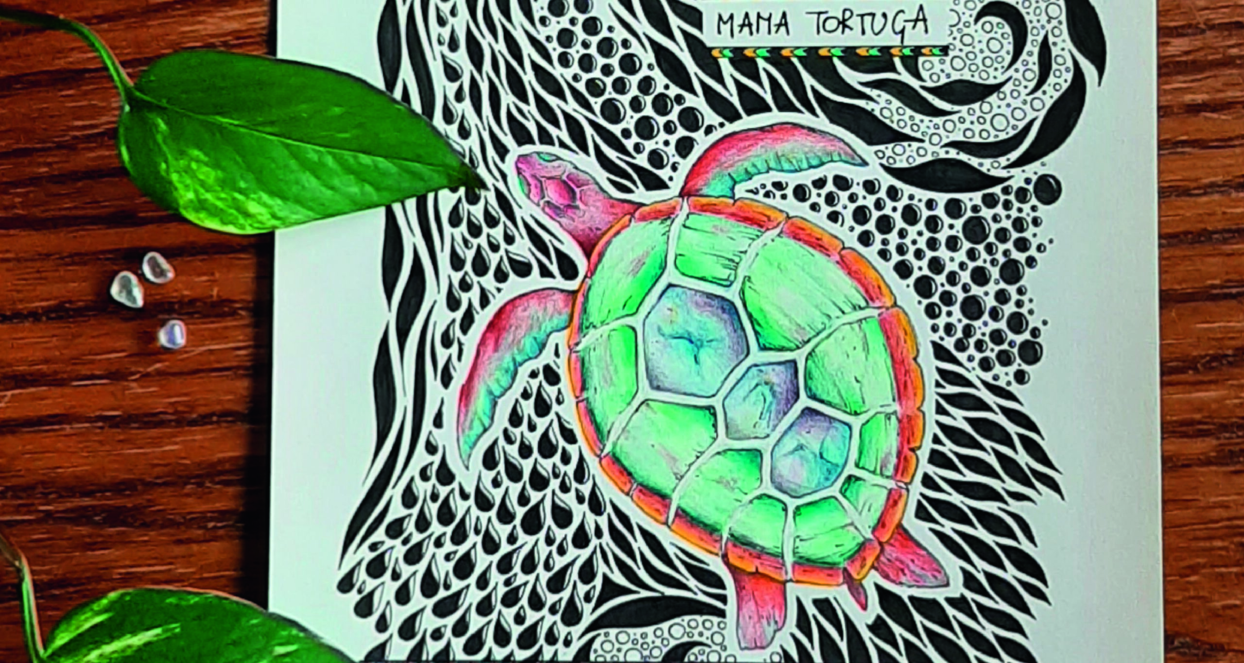Drawing made by Art Sound Medicine Woman of Mother Turtle. The drawing has black line drawings in the back and a colorful turtle in the middle. The drawing serves as an invitation to discover the Creative Space inside yourself, on the website and here on the blog.